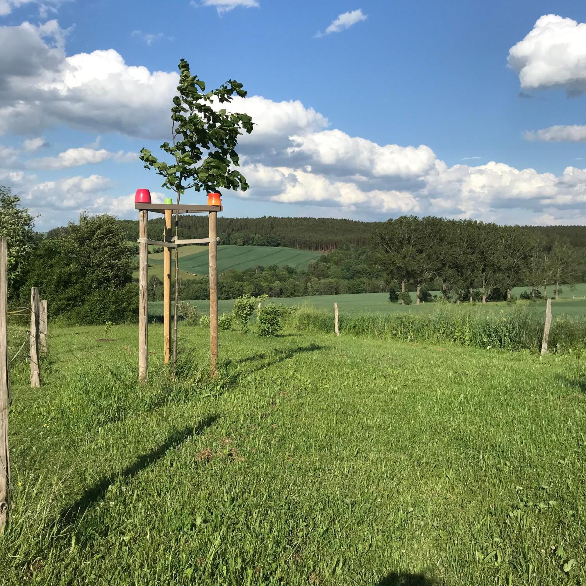 Energietanken Vor Den Toren Dresdens -Barrierefrei- Dippoldiswalde Exteriör bild