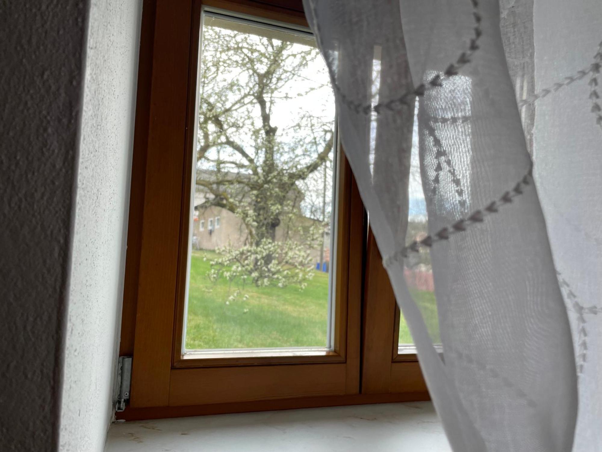 Energietanken Vor Den Toren Dresdens -Barrierefrei- Dippoldiswalde Exteriör bild
